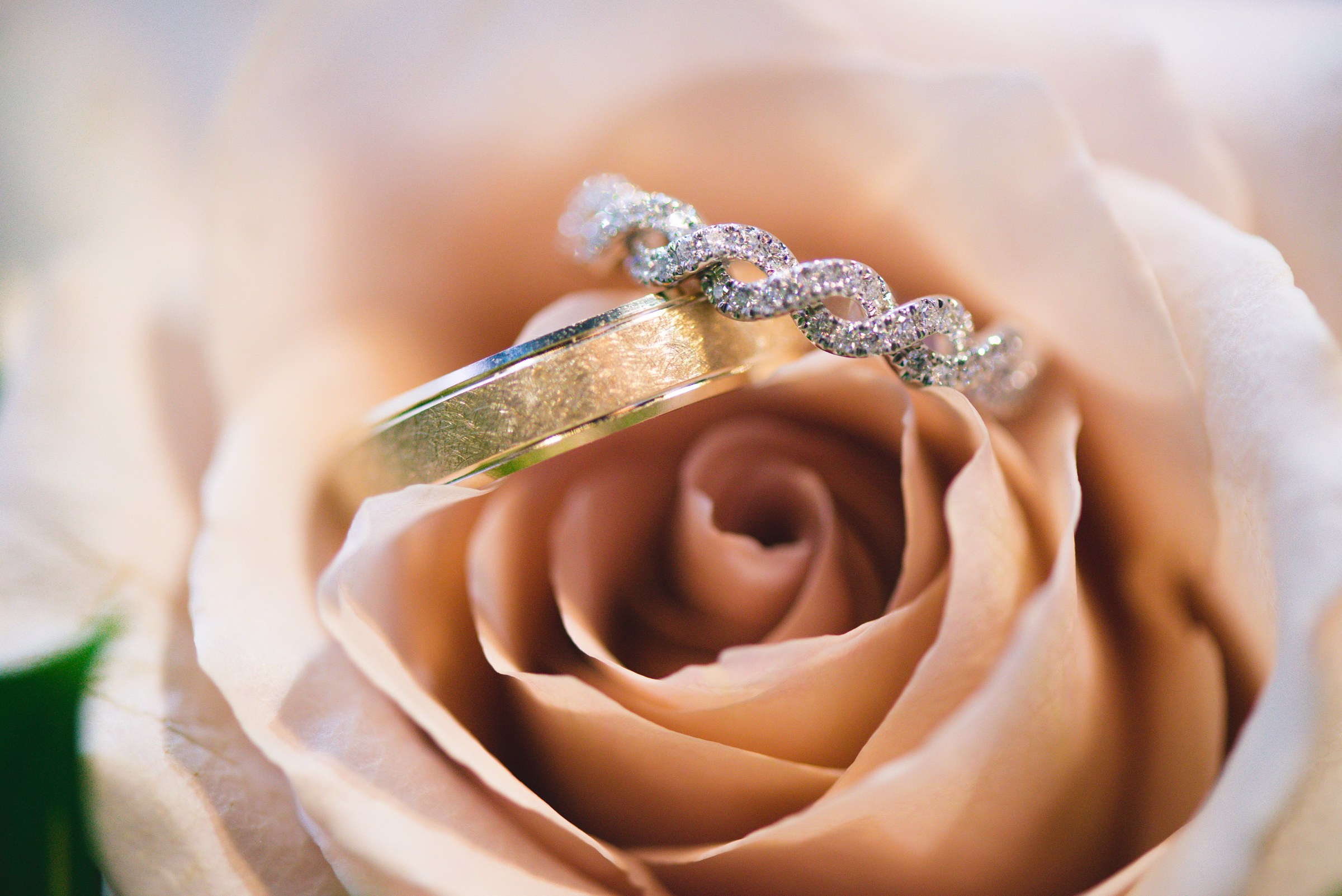 Wedding rings arranged on a pale rose